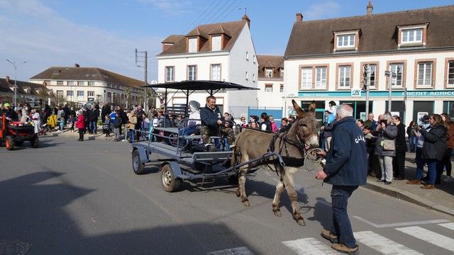 DSC02202.jpg