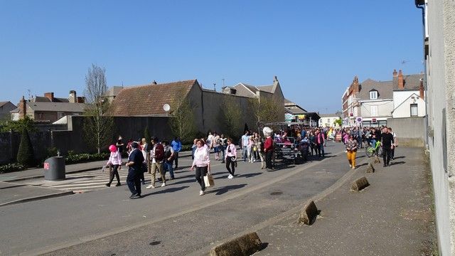 DSC02284.jpg