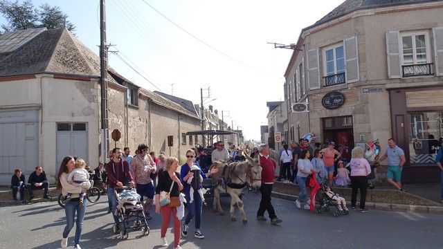 DSC02286.jpg