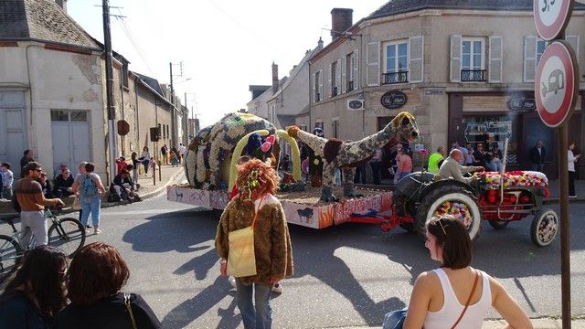 DSC02304.jpg