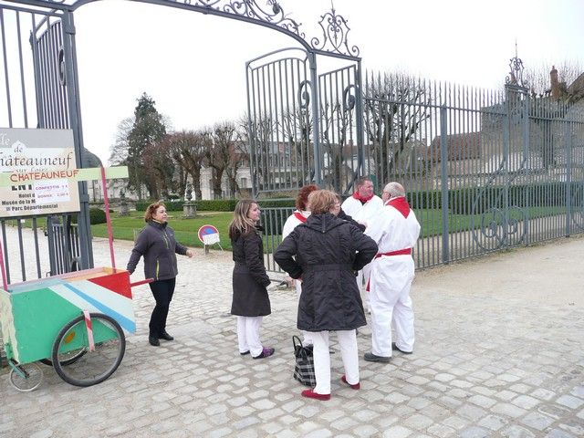 P1070593.jpg