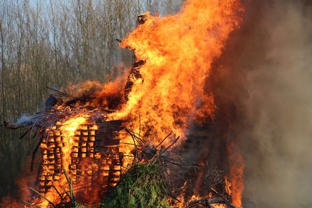 IMG_8477.jpg
