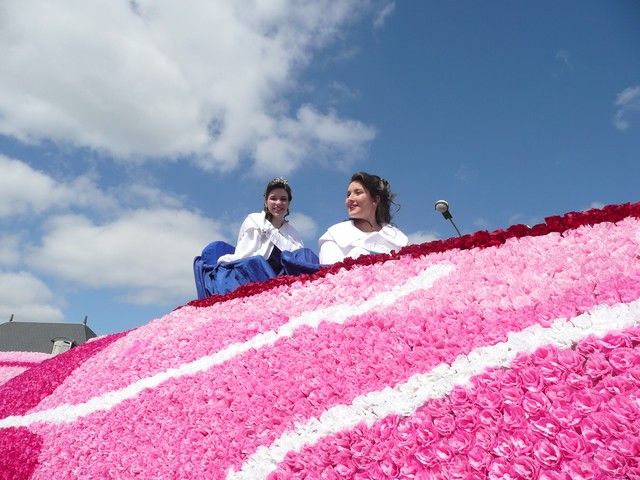 P1090738.jpg