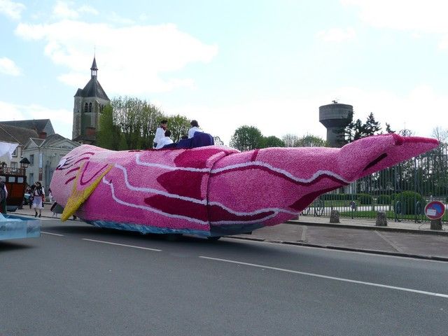 P1090750.jpg