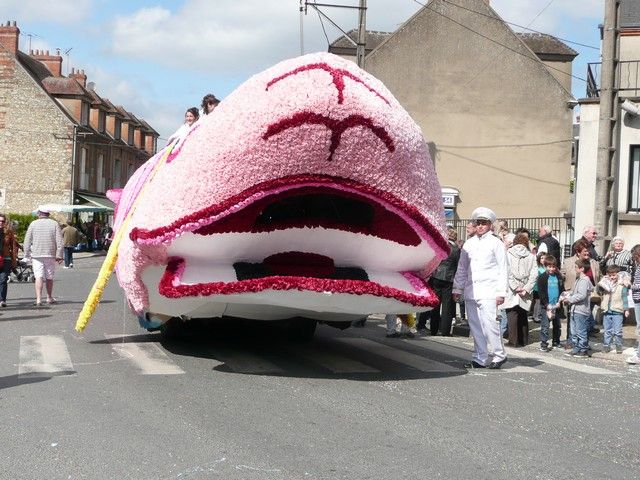 P1090834.jpg