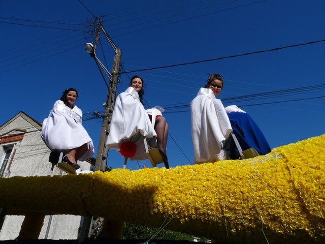 DSC04082.jpg