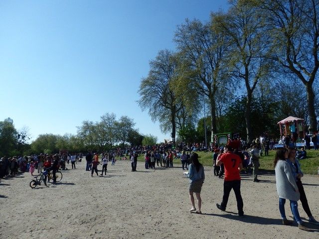 P4190146.jpg