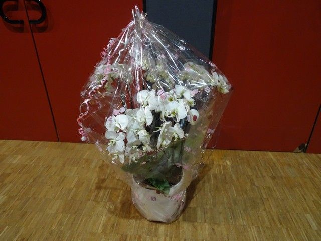 DSC03626.jpg