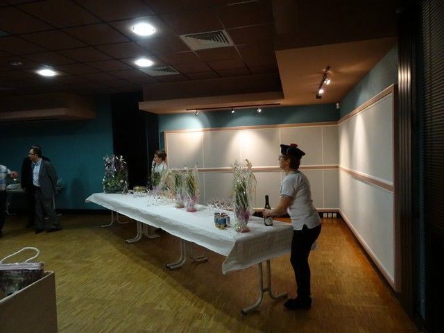DSC00205.jpg