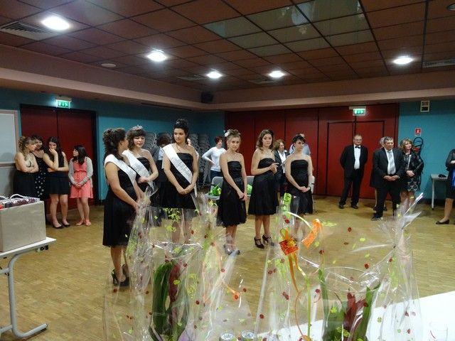 DSC00213.jpg